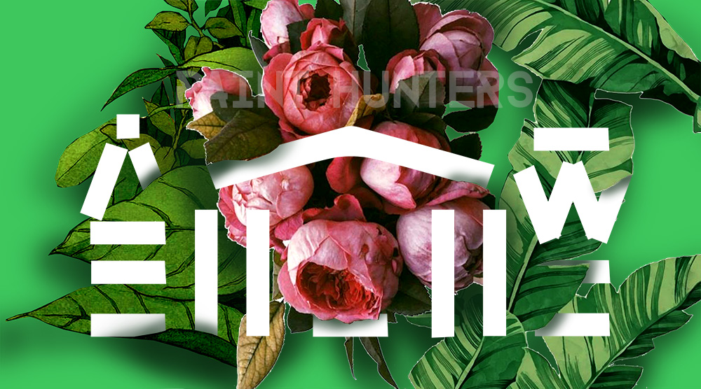 Дайджест новин від ВДНГ: арт-перехід та нові лавки